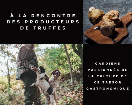 À la rencontre des producteurs de truffes : Gardiens passionnés de la culture de ce trésor gastronomique