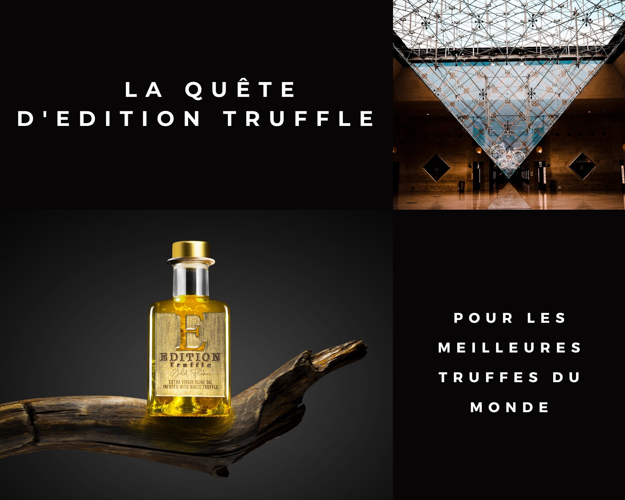 La quête d'Edition Truffle pour les meilleures truffes du monde